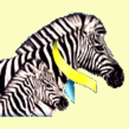 Cushings Help Organization, Inc. Disclaimer